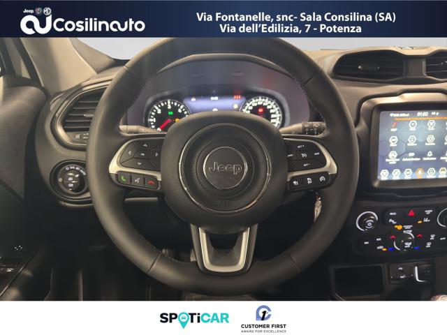 JEEP Renegade usata, con ESP