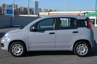 FIAT Panda usata, con Controllo trazione