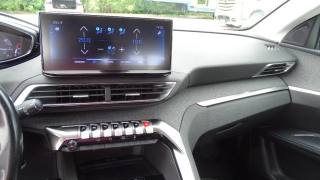 PEUGEOT 5008 usata 106