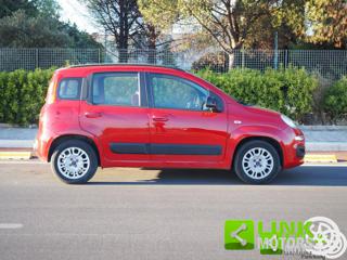 FIAT Panda usata 17