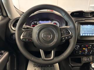 JEEP Renegade usata, con Volante in pelle