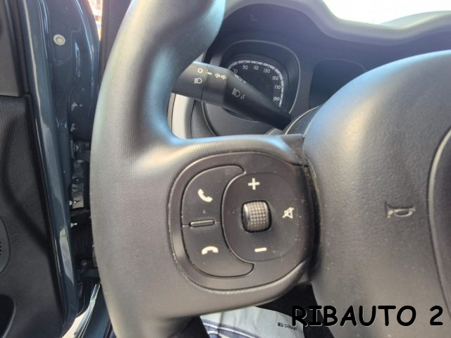 FIAT Panda Cross usata, con Alzacristalli elettrici