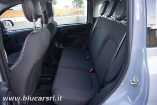 FIAT Panda usata, con Servosterzo