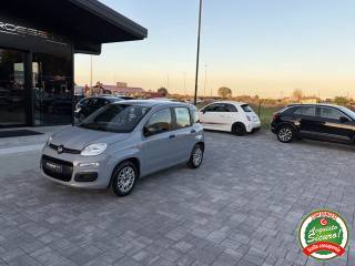 FIAT Panda usata, con Airbag laterali