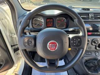 FIAT New Panda usata, con Immobilizzatore elettronico