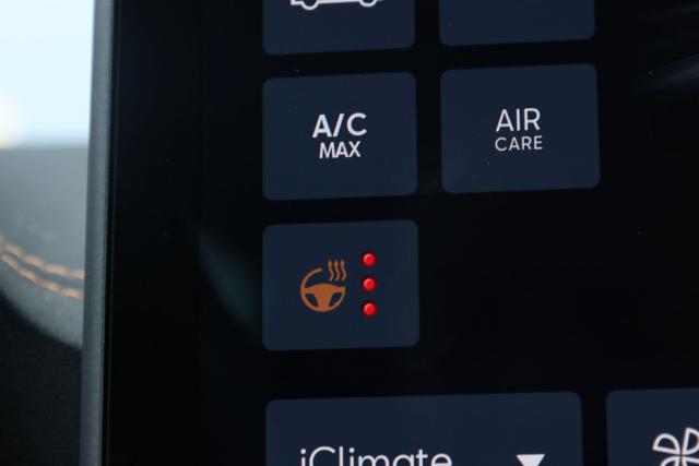 CUPRA Leon usata, con Kit antipanne