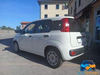FIAT Panda usata, con Alzacristalli elettrici