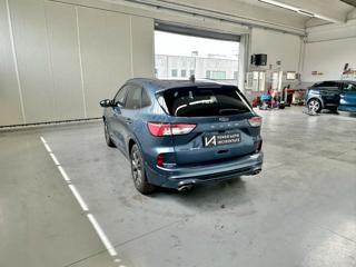 FORD Kuga usata, con Alzacristalli elettrici