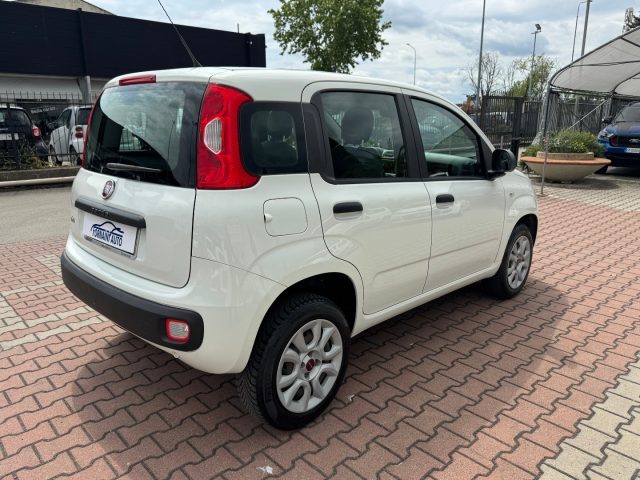 FIAT New Panda usata, con Controllo trazione