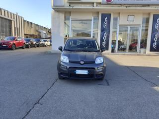 FIAT Panda usata, con Airbag