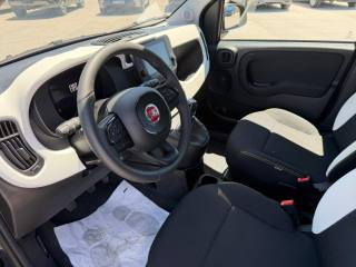 FIAT Panda usata, con Fendinebbia
