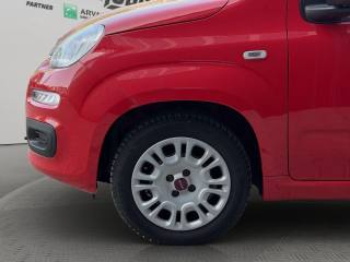 FIAT Panda usata 18