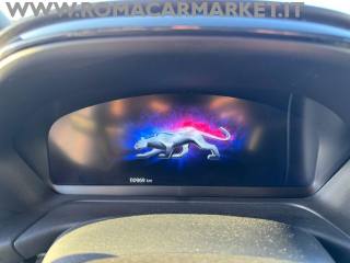 FORD Puma usata, con Cruise Control