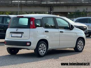 FIAT Panda usata 5