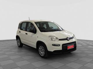FIAT Panda usata 6