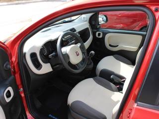 FIAT Panda usata, con Chiusura centralizzata