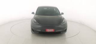 TESLA Model 3 usata 1