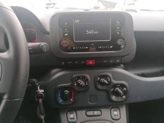 FIAT Panda usata, con Immobilizzatore elettronico