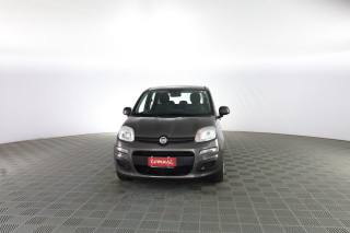 FIAT Panda Panda 1.0 firefly hybrid