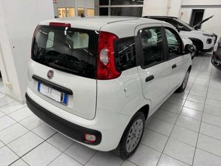 FIAT Panda usata, con Climatizzatore