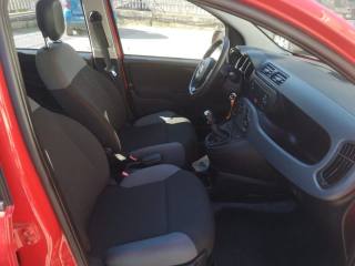 FIAT Panda usata, con Controllo trazione