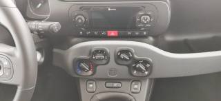 FIAT Panda usata 42