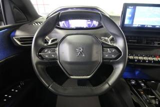 PEUGEOT 3008 usata, con Cruise Control