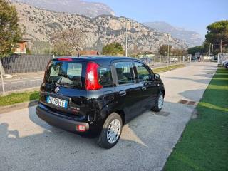 FIAT Panda usata, con Autoradio