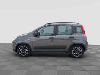 FIAT Panda usata 1