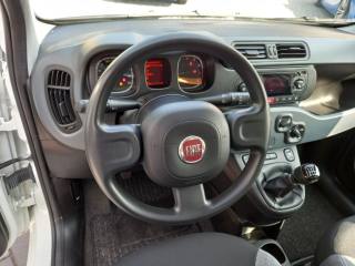 FIAT Panda usata, con Autoradio