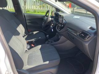 FORD Fiesta usata, con Cronologia tagliandi