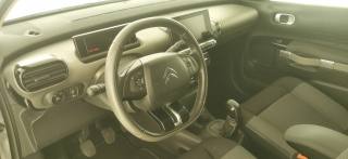 CITROEN C4 Cactus usata 50