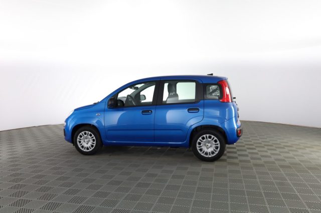 FIAT Panda usata 5