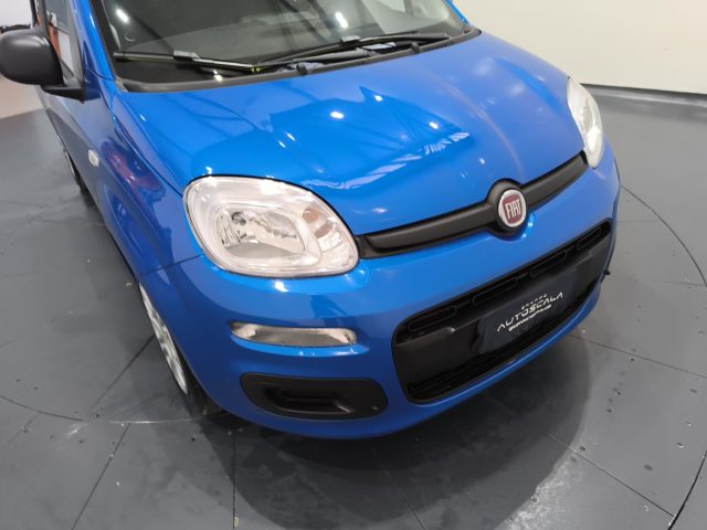 FIAT New Panda usata, con Bracciolo