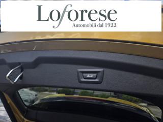 BMW X2 usata, con Cruise Control