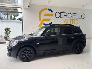 MINI Countryman usata, con Fendinebbia