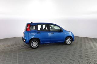 FIAT Panda usata 2