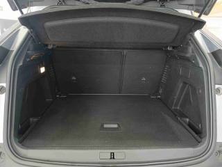 PEUGEOT 3008 usata, con Servosterzo