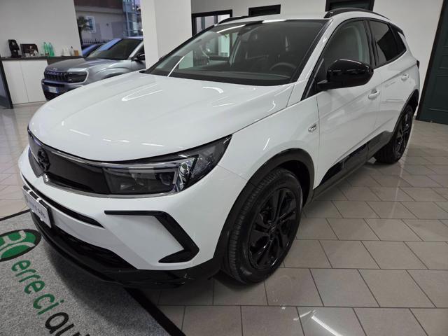 OPEL Grandland usata, con Fendinebbia