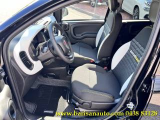 FIAT Panda usata, con Antifurto