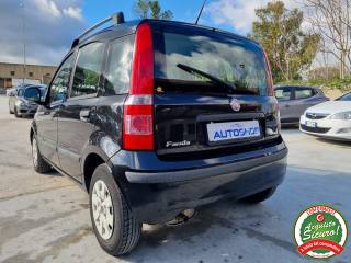 FIAT Panda usata 3