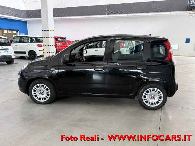 FIAT Panda usata 17