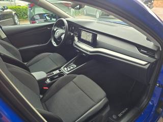 SKODA Octavia usata 133