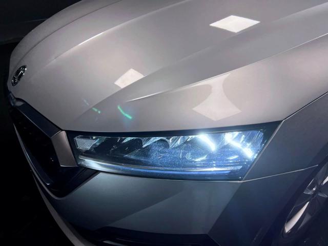 SKODA Octavia usata, con Fendinebbia