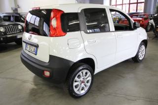 FIAT Panda usata, con Alzacristalli elettrici