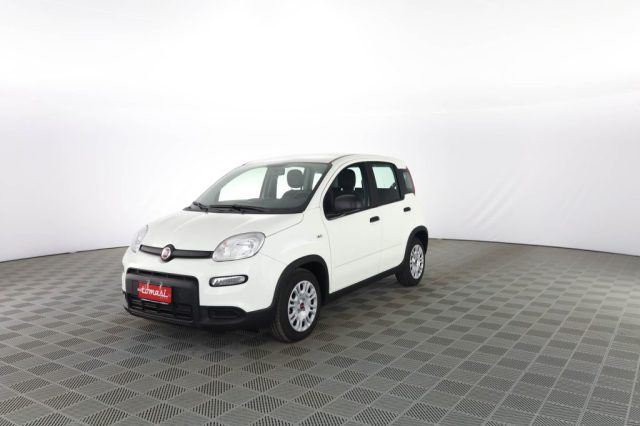 FIAT Panda usata 0