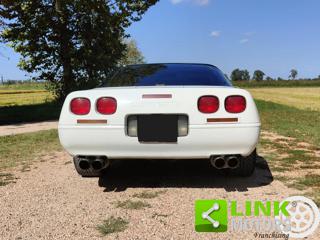 CHEVROLET Corvette usata 23