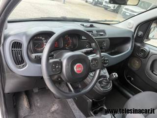 FIAT Panda usata 13