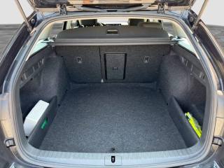 SKODA Octavia usata 13