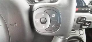 FIAT Panda usata 47